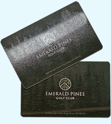 plastic cards example 2
